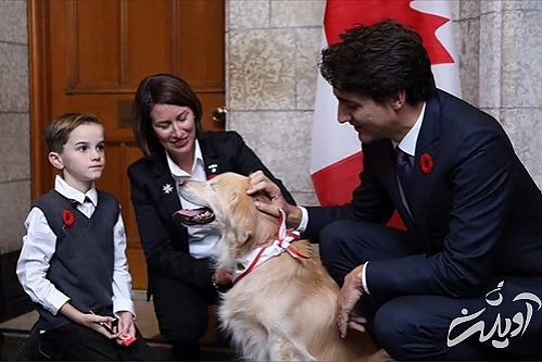 روز جهانی سگ، وفادارترین دوست انسان